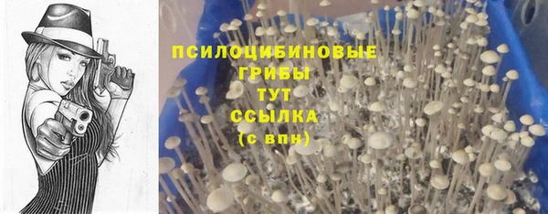 прущая мука Медвежьегорск