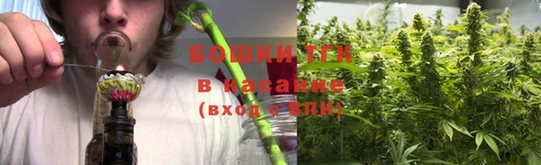 твердый Медногорск